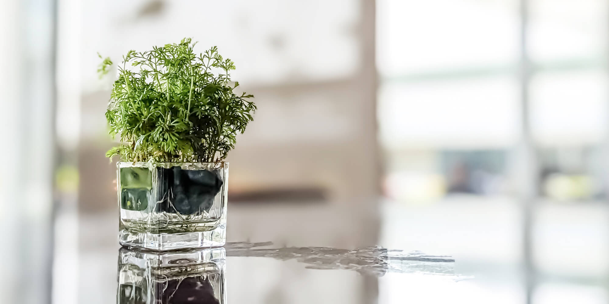 O.D.Beauty 受付の様子